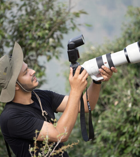 Lovish Garlani, butterfly researcher in Himachal Pradesh, documenting Himalayan butterfly ecology in the field.